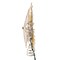 Kurt Adler 10-Inch 5-Point Capiz Star Treetop with Rays and Beads